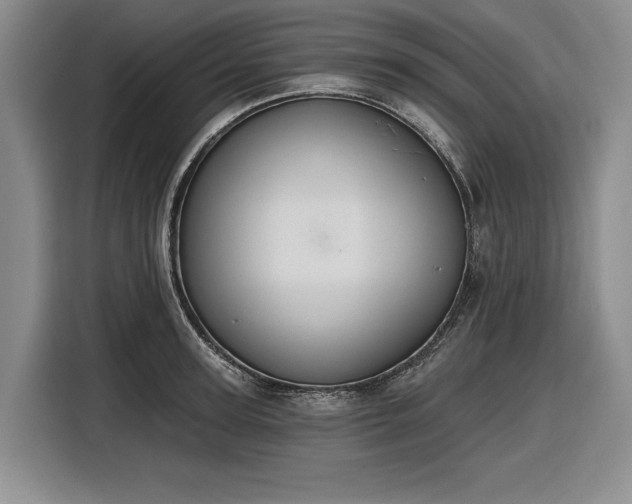 X0000116610947200912181203