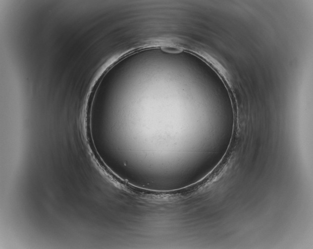 X0000116610949200912181203