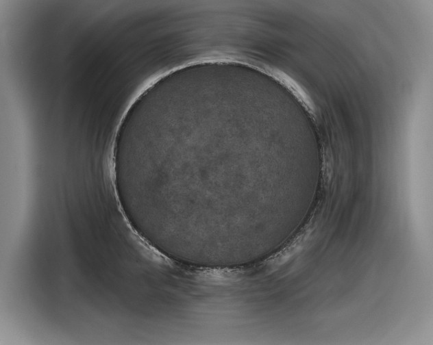 X0000116610950200912181203