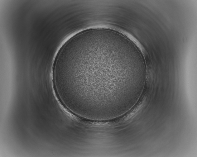 X0000116610951200912181203