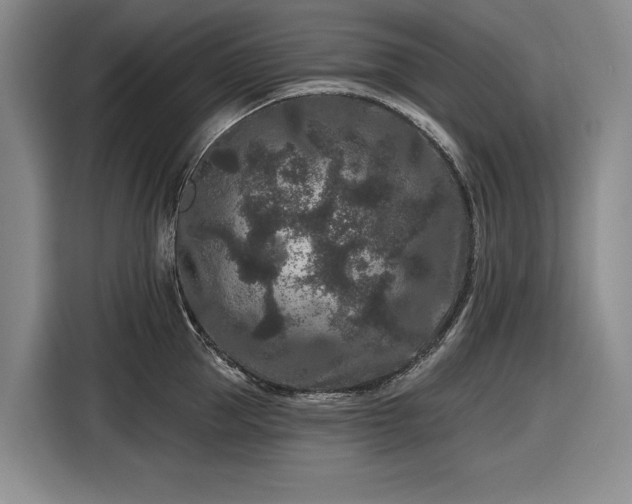 X0000116610953200912181203