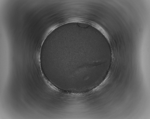 X0000116610954200912181203