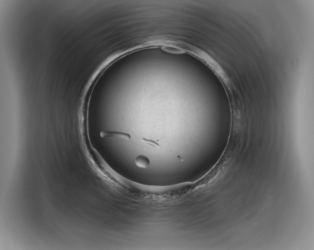 X0000116610955200912181203