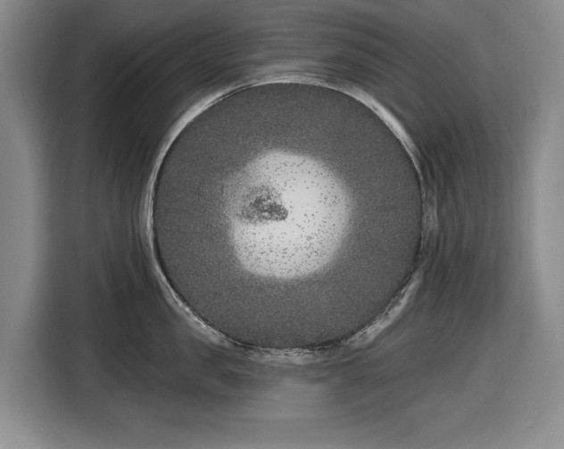 X0000116610957200912181204