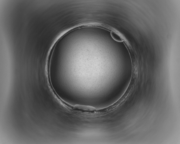 X0000116610959200912181204