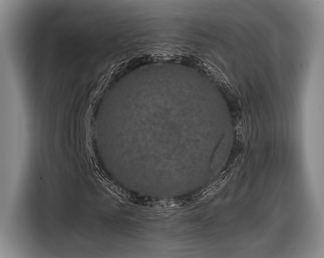 X0000116610961200912181203