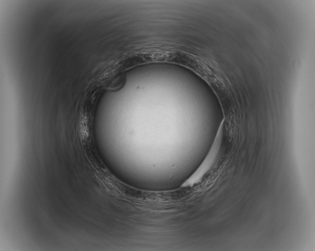 X0000116610962200912181203