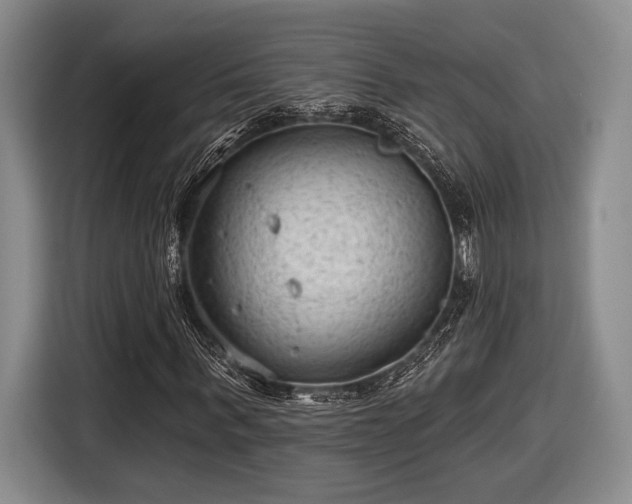 X0000116610963200912181203