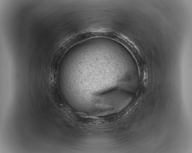 X0000116610966200912181203