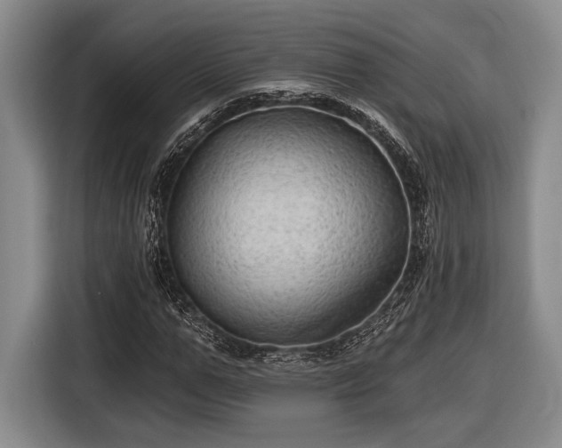 X0000116610967200912181203