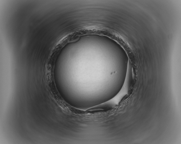 X0000116610968200912181203