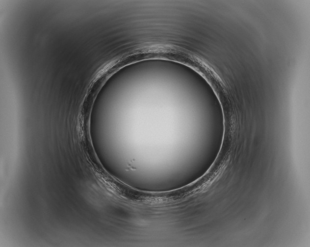 X0000116610970200912181203