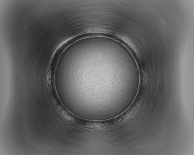 X0000116610971200912181203