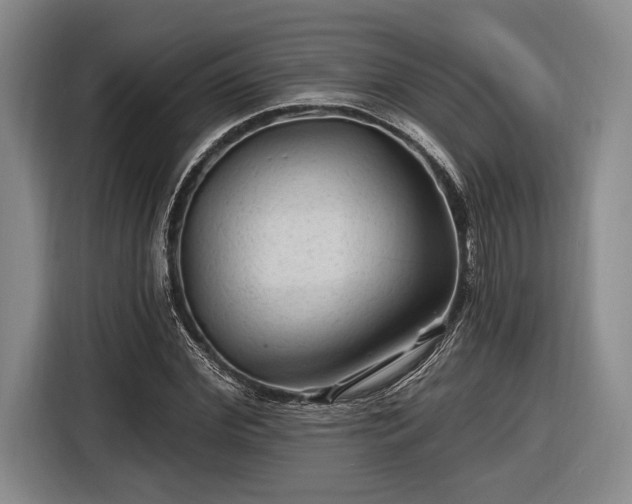 X0000116610972200912181203