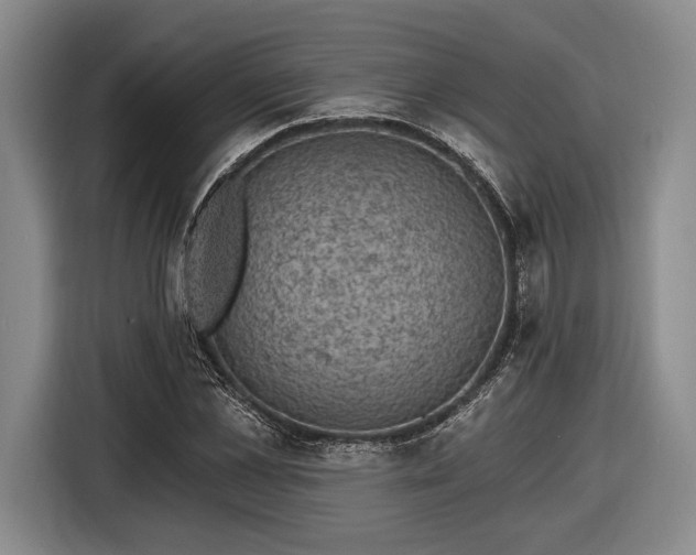 X0000116610973200912181203