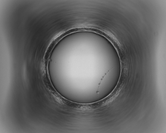 X0000116610974200912181203