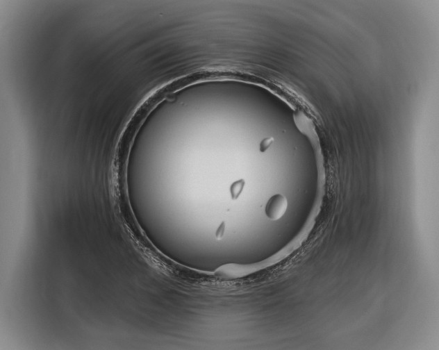 X0000116610976200912181203