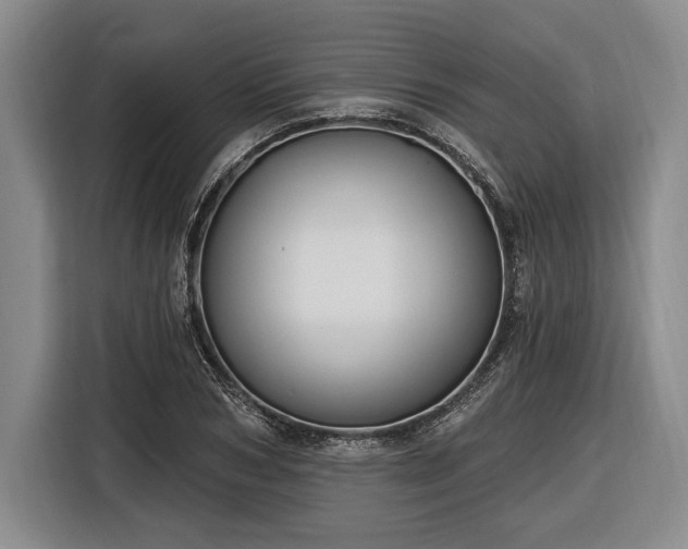 X0000116610978200912181203