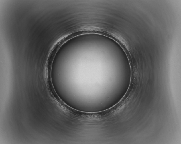 X0000116610979200912181203