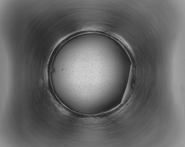 X0000116610980200912181203