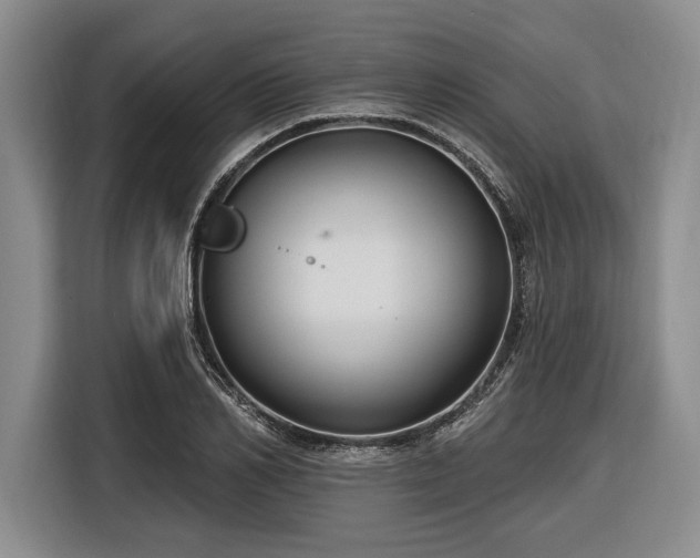 X0000116610982200912181203