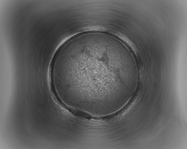 X0000116610983200912181203