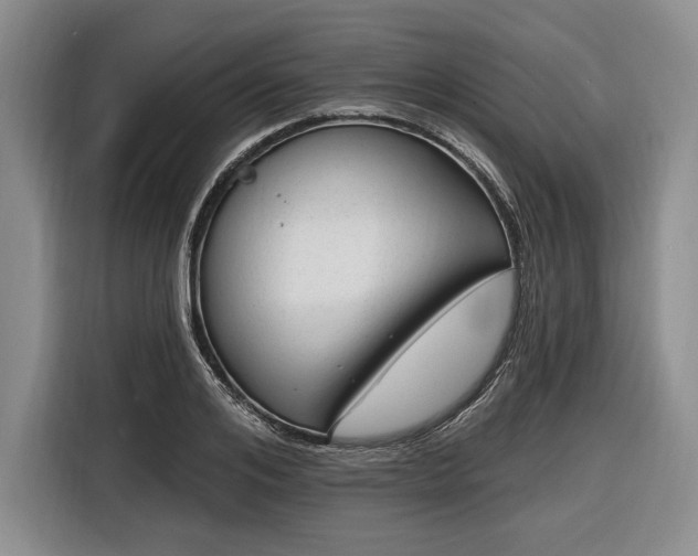 X0000116610984200912181203