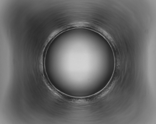 X0000116610986200912181203