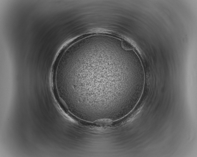 X0000116610987200912181203