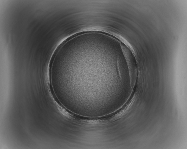 X0000116610988200912181203