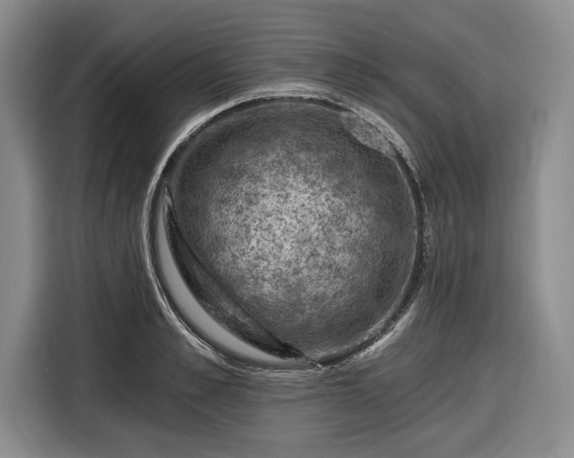 X0000116610989200912181203