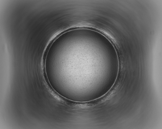 X0000116610990200912181203