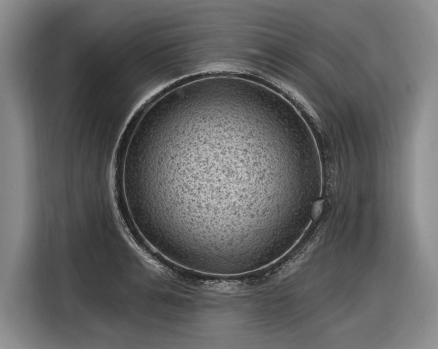 X0000116610991200912181203