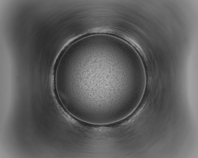 X0000116610992200912181203