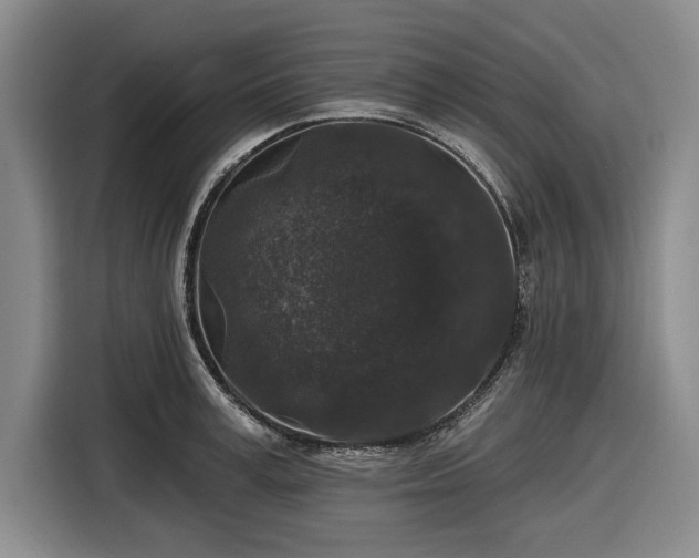 X0000116610995200912181202