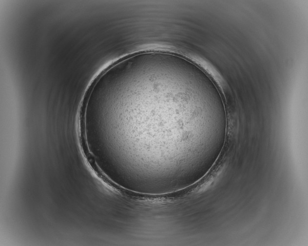 X0000116610999200912181202