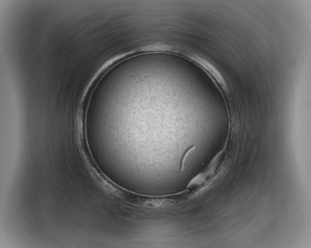 X0000116611000200912181202