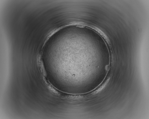 X0000116611001200912181202