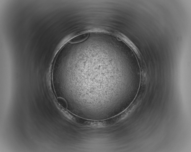 X0000116611002200912181202