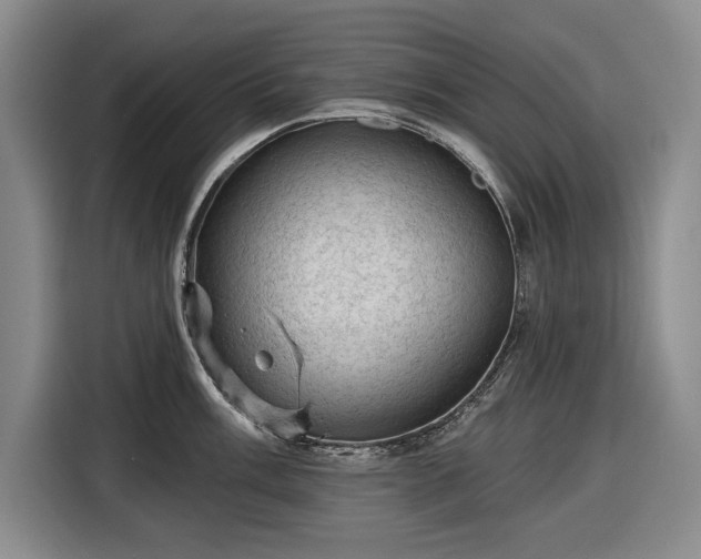 X0000116611003200912181202