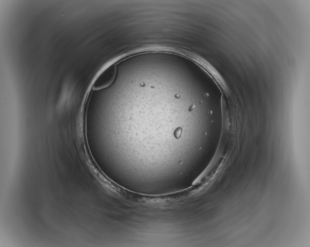 X0000116611004200912181202