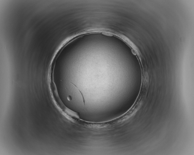 X0000116611005200912181202