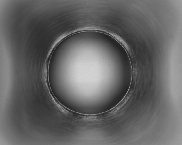 X0000116611006200912181202