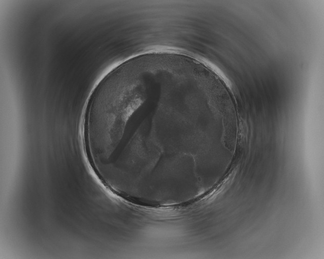 X0000116611007200912181202