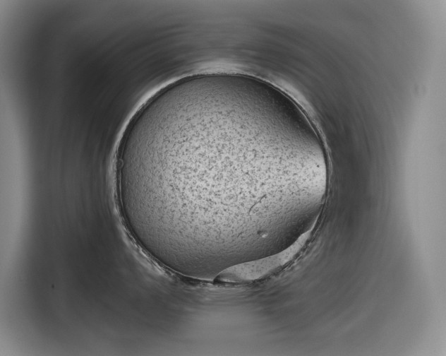 X0000116611008200912181202