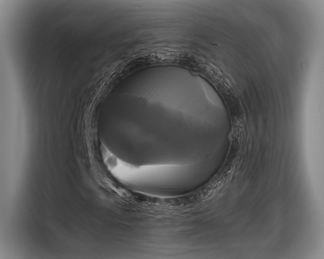 X0000116611009200912181202