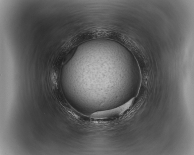 X0000116611010200912181202