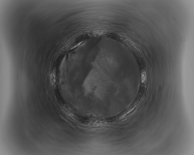 X0000116611011200912181202