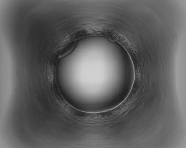 X0000116611012200912181202