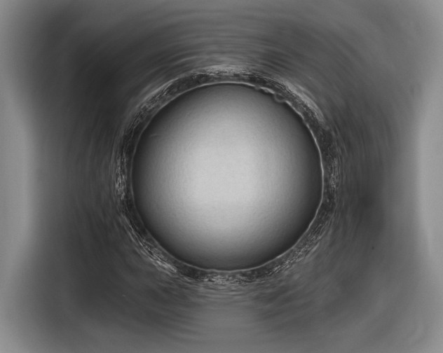 X0000116611015200912181202